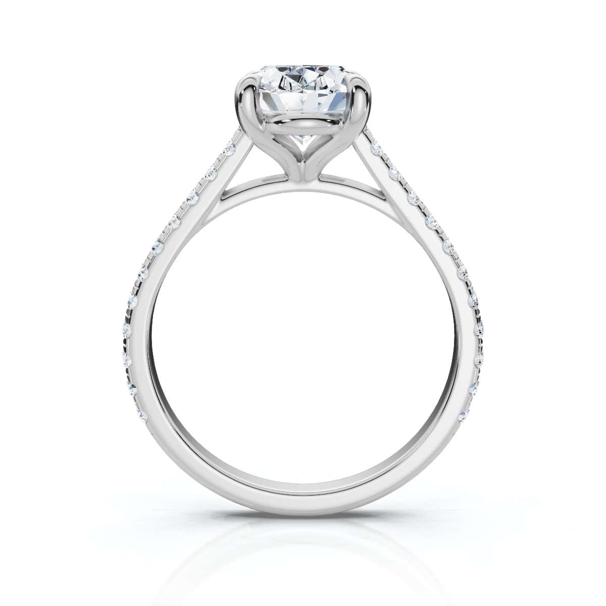 Oval 6530