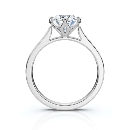 Oval 6672
