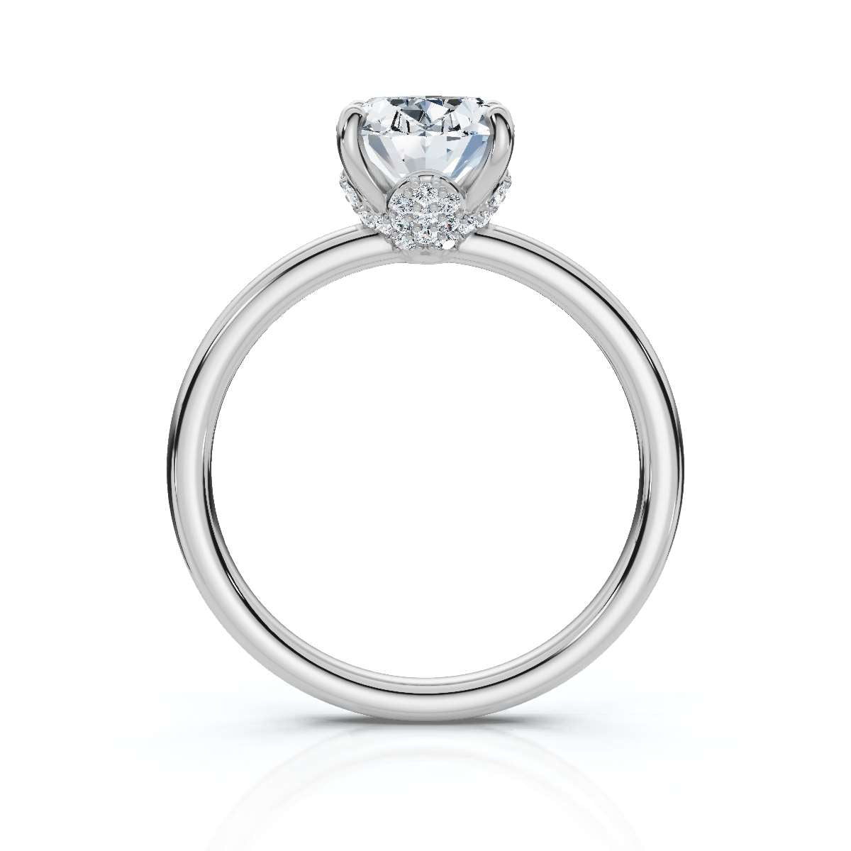 Oval 2804
