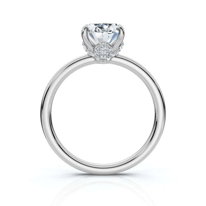 Oval 2804